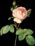 0_81db4_85965376_L (122x160, 21Kb)